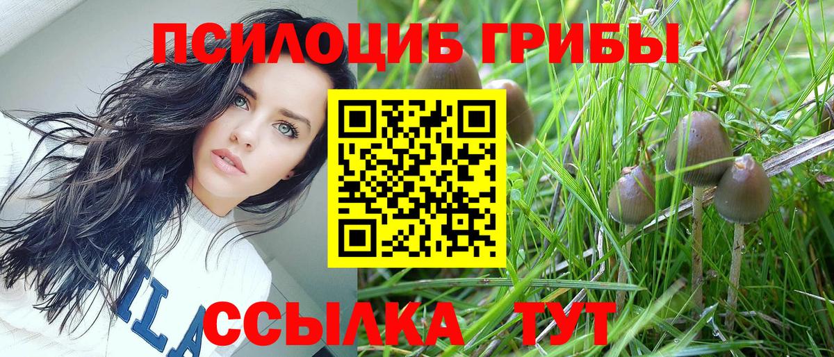 Псилоцибиновые грибы Magic Shrooms Клинцы
